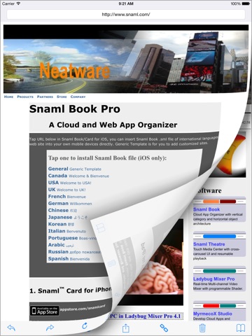iPad Screenshot 2