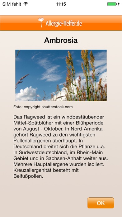 iPhone Screenshot 5