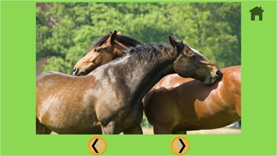 子供のための馬とダーツ - 広告なし screenshot1
