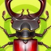 Kids Game - Bugs Collector