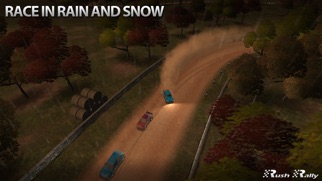 Rush Rally screenshot1