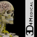 Brain and Nervous System Pro III