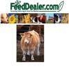 Cattle Adjusted Birth Weight Calculator