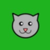 Pet Chase