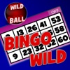 Bingo Wild HD