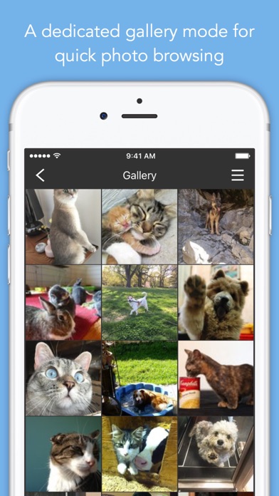 iPhone Screenshot 4