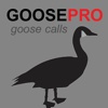 Canada Goose Calls & Goose Sounds for Hunting BLUETOOTH COMPATIBLE canada goose 