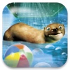 101 Otter Pets pets 101 animal planet 