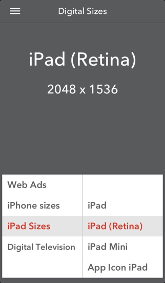 iPhone Screenshot 3