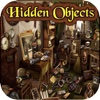Hidden Objects - The Room - My Wallet - The Big House game