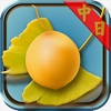 銀杏的果實:看小說學日文《中日對照》