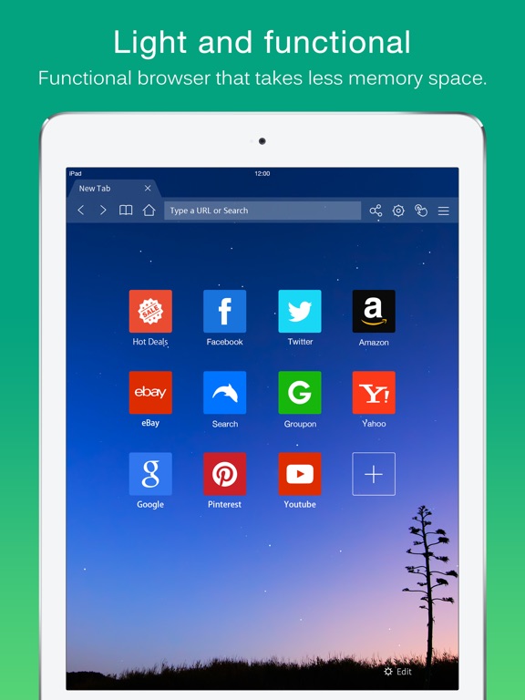 iPad Screenshot 1