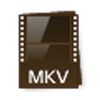 MKV Converter Expert