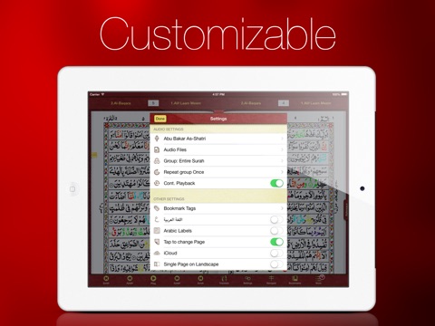 iPad Screenshot 4