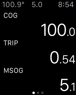 iPhone Screenshot 1