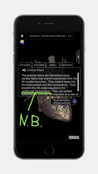 iPhone Screenshot 2