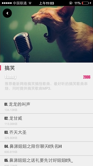 iPhone 屏幕快照 4