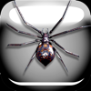 no app image