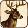 2016 Big Buck Deer Hunting Elite ShowDown 3D Pro - Sniper Shooting Gun Down African Safari Hunting Simulator Game hunting shooting schools 