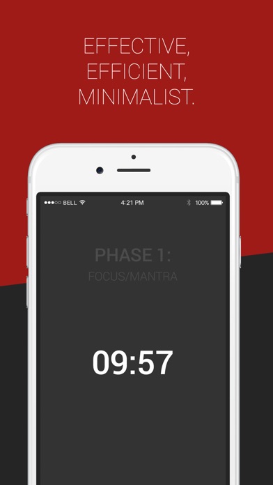 iPhone Screenshot 3