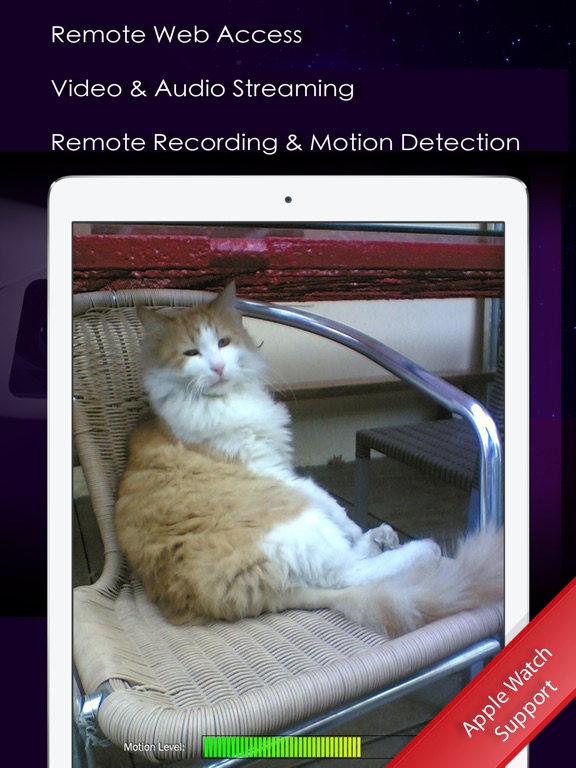 iPad Screenshot 1