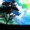 Nature Music Pro - Relaxing Sounds Of Nature to Calm, Reduce Stress & Anxiety Release nature field 
