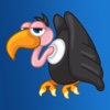 The Vulture turkey vulture 