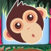 Temple Monkey - Runs In The Monkey Temple temple