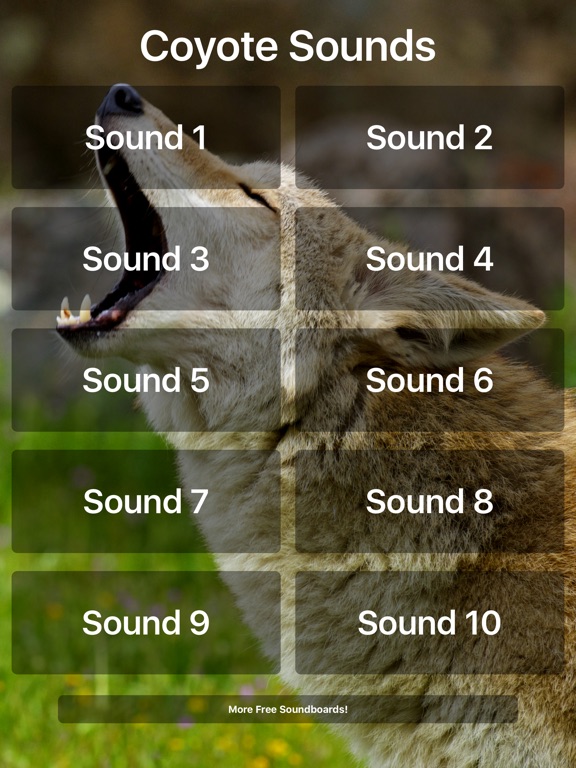 best coyote sounds for late december