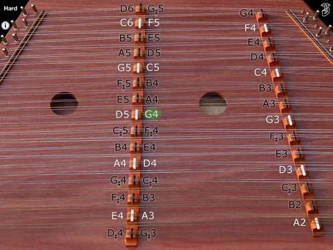 iPad Screenshot 2