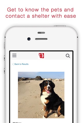 Pet Adoptions screenshot