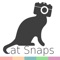 Cat Snaps - Selfies For Cats!