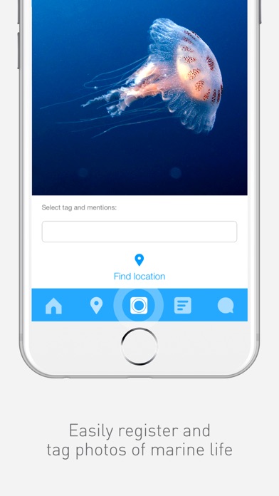 iPhone Screenshot 4