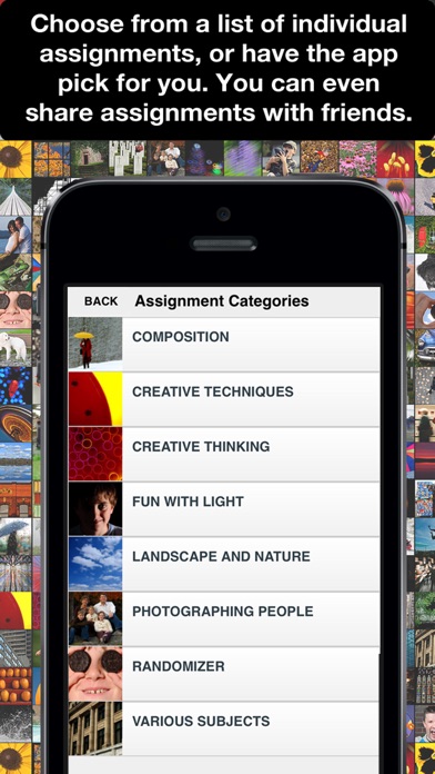 iPhone Screenshot 2
