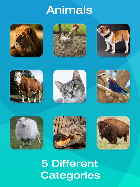 Animal and Tool Flashcards for Babies or Toddlers on the App Store