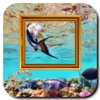 Aquarium Photo Frames download photo photos