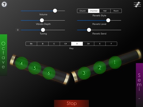 iPad Screenshot 1