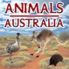 Animals of Australia animals in australia 
