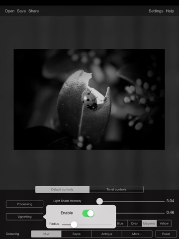 iPad Screenshot 4