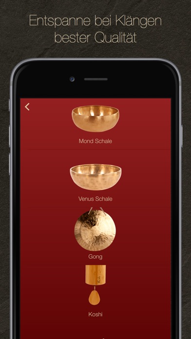 iPhone Screenshot 2