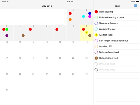 iPad Screenshot 1