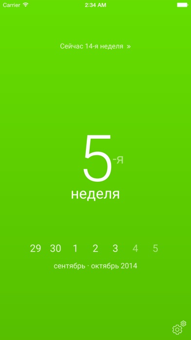 iPhone Screenshot 2