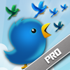 no app image