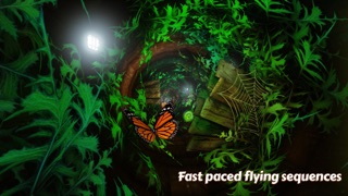 Butterfly Rushのおすすめ画像3