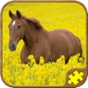 Horse Puzzles Free