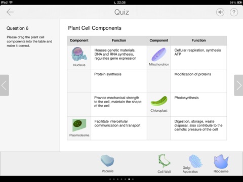 iPad Screenshot 5