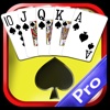 Spades Plus Solitaire Mania Classic Deluxe Family Card Game Pro