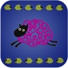 Color the Sheep