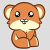 Cute Hamter