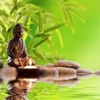 Zen Waves Pro - Ambient Music to Reduce Stress, Guided Meditation and Relaxation